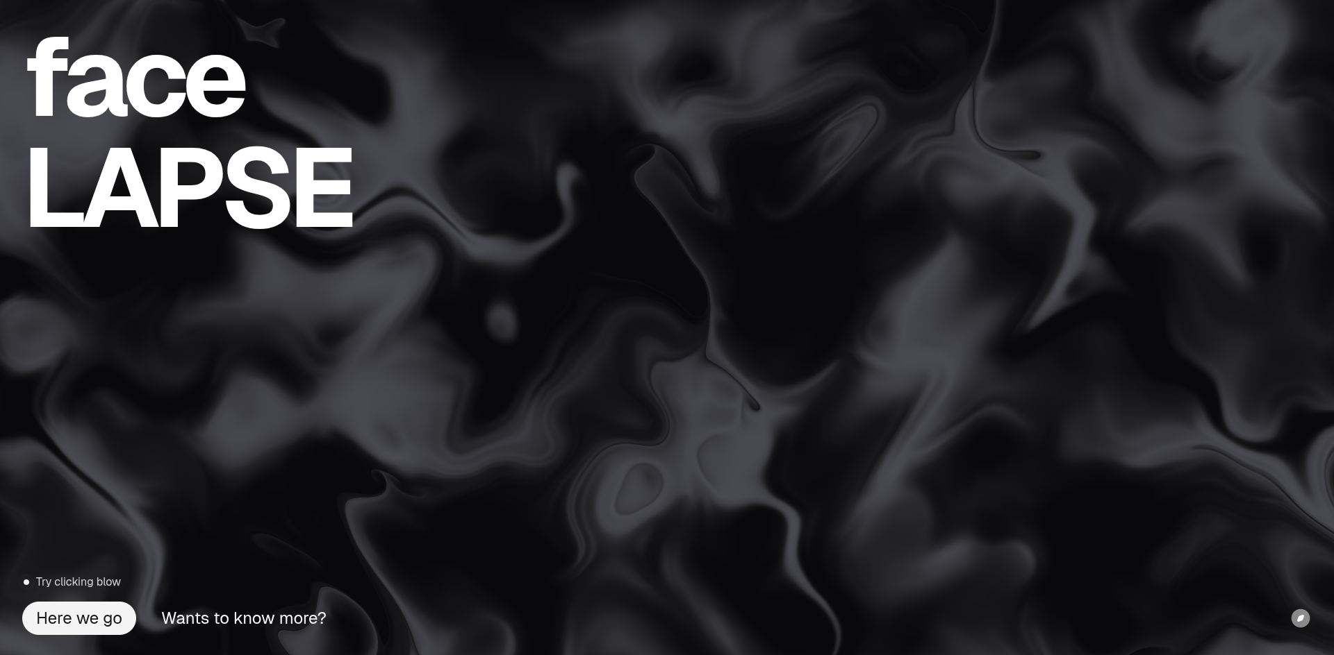 Software Screenshot for project 1